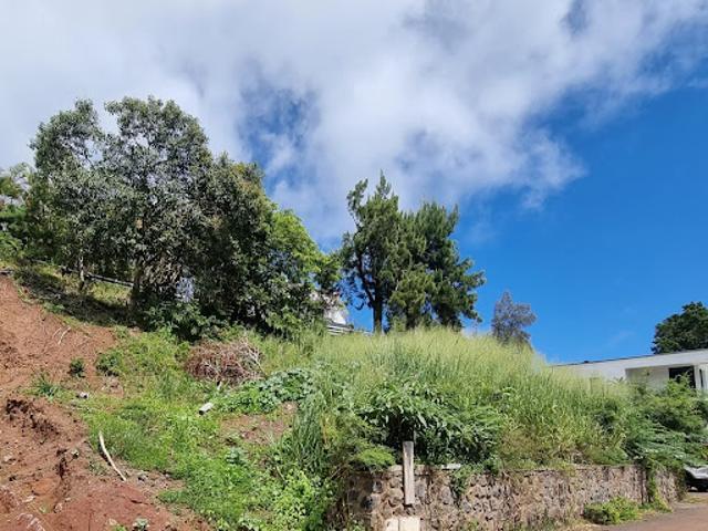 Terrain vente à La Réunion