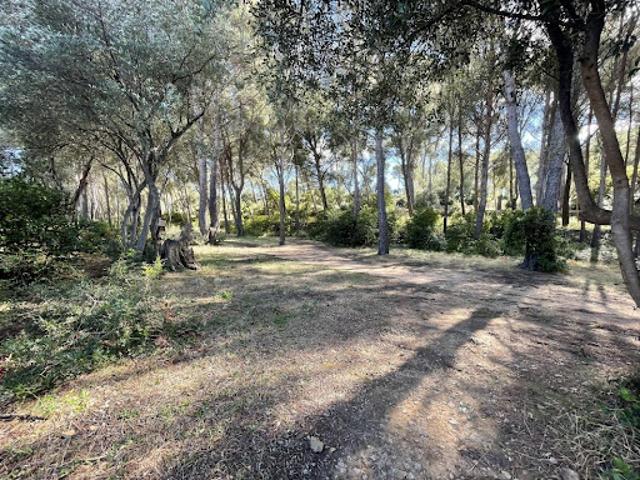 Terrain vente à France métropolitaine, Ollioules