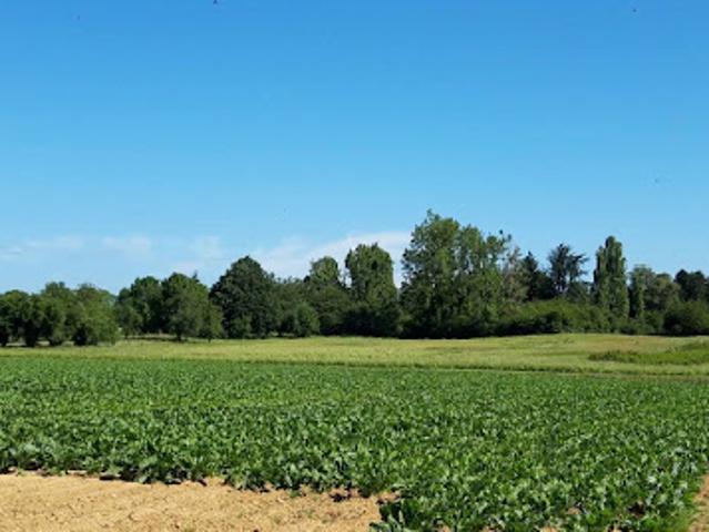 Terrain vente à Saint-Rémy-lès-Chevreuse, Yvelines