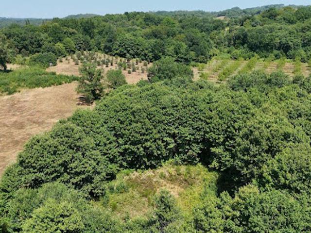Terrain vente à Sarlat-la-Canéda, Prats-de-carlux