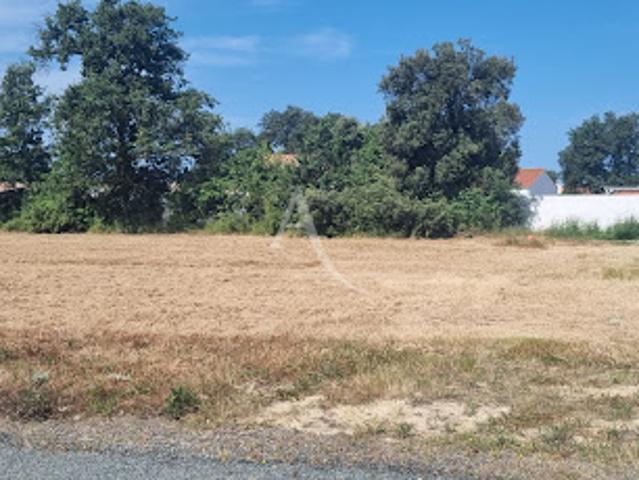 Terrain vente à Les Sables-d'Olonne, Commequiers