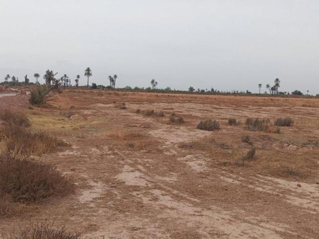 Terrain vente à Annakhil ⵏⴰⵅⵉⵍ النخيل, Marrakech ⵎⵕⵕⴰⴽⵯⵛ مراكش