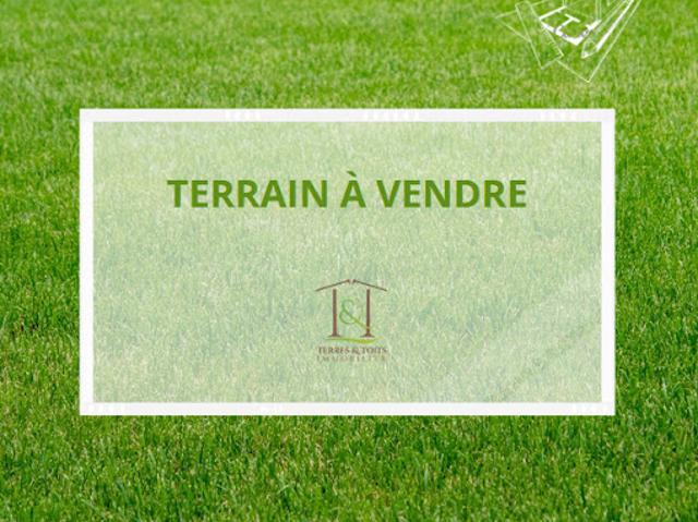 Terrain vente à Forcalquier, Corbières