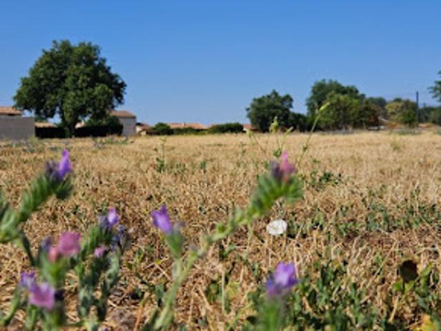 Terrain vente à Muret, Saint-clar-de-rivière