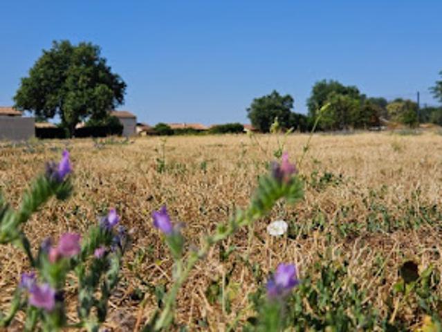 Terrain vente à Muret, Saint-clar-de-rivière