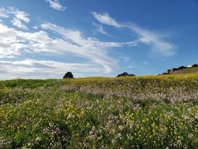 Terrain vente à Mirebeau-sur-Bèze, Côte-d'Or