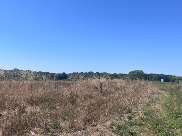 Terrain vente à France métropolitaine, Meursac