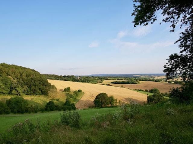 Terrain vente à La Roche-sur-Yon, Saint-florent-des-bois