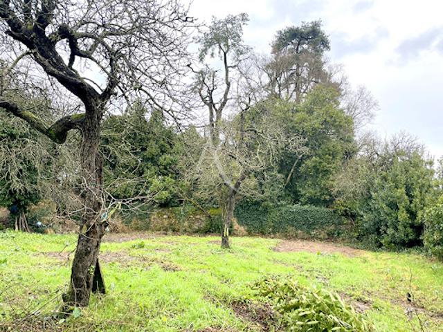 Terrain vente à Moutiers-les-mauxfaits, Vendée