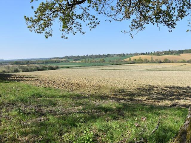Terrain vente à Mirande, Loussous-débat