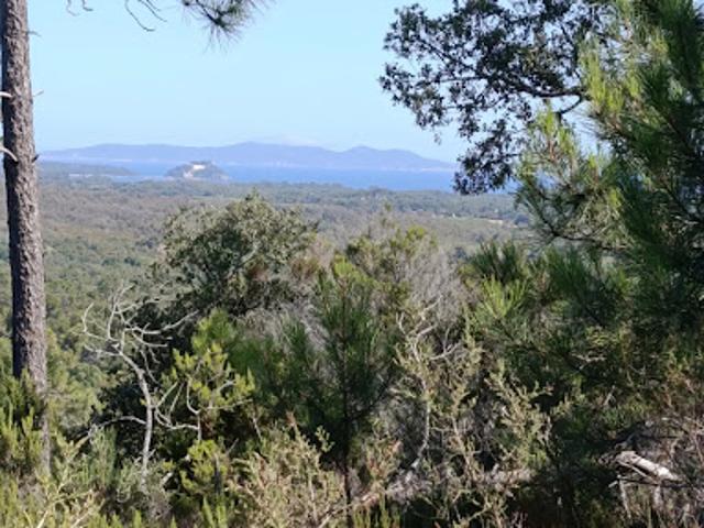 Terrain vente à La Londe-les-Maures, Var