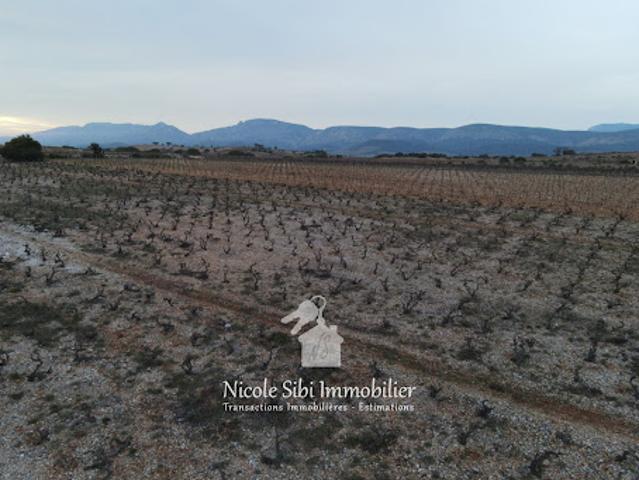 Terrain vente à Perpignan, Tautavel