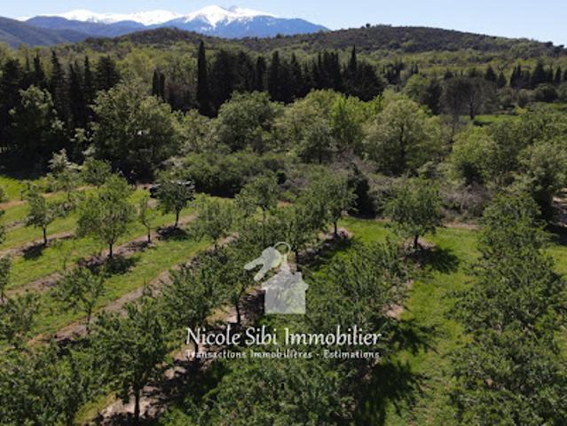 Terrain vente à Prades, Bouleternère