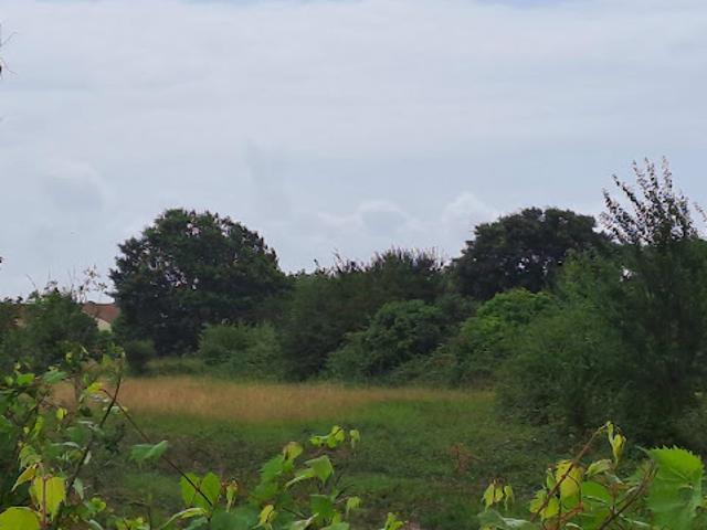 Terrain vente à France métropolitaine, Saint-augustin
