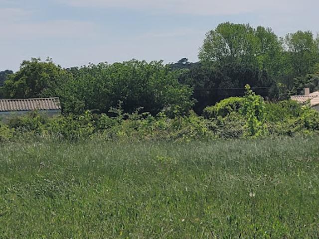 Terrain vente à Rochefort, Saint-palais-sur-mer