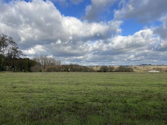 Terrain vente à Langon, Virelade