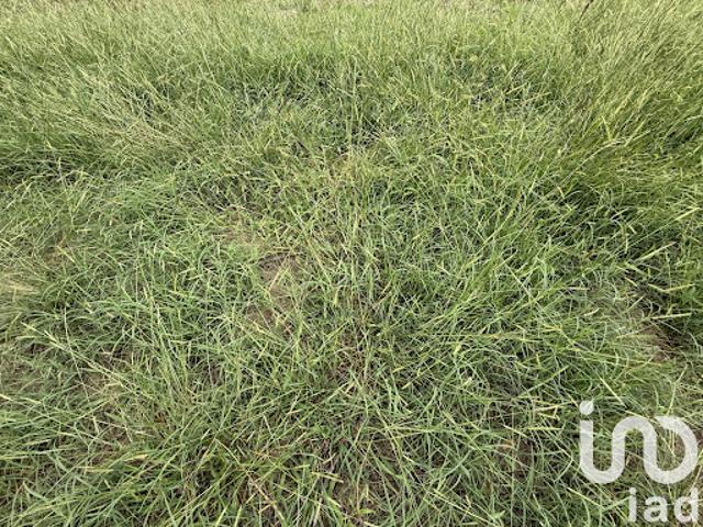 Terrain vente à France métropolitaine, Sanguinet