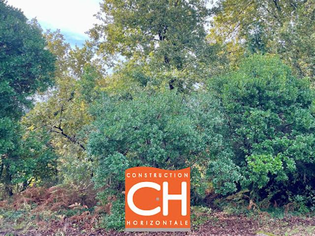 Terrain vente à France métropolitaine, Sanguinet