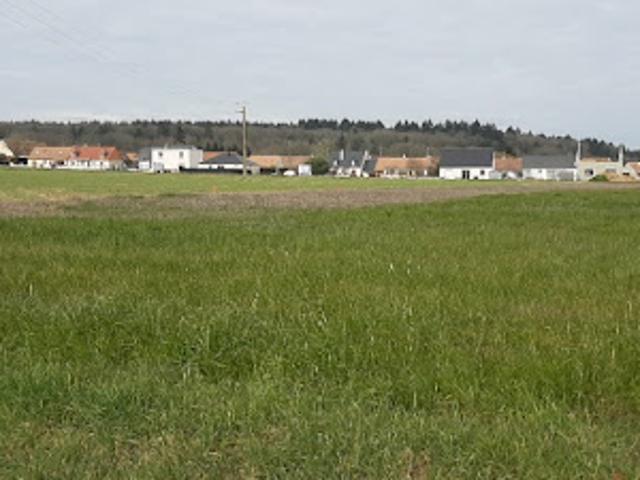 Terrain vente à Les Croix de Montigné, Montbizot