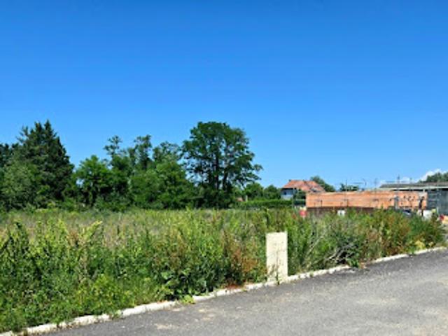 Terrain vente à Colmar-Ribeauvillé, Algolsheim