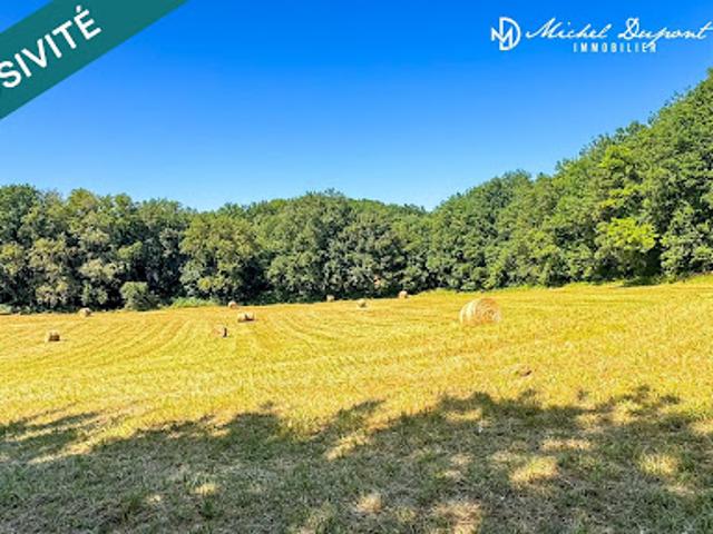 Terrain vente à Sarlat-la-Canéda, Saint-chamassy