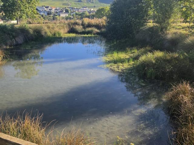 Terrain vente à Le Taillis Robinet, Festigny
