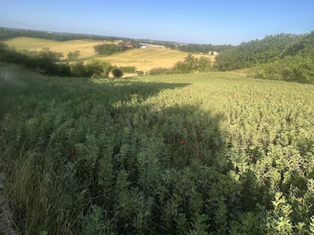 Terrain vente à Montauban, Montpezat-de-quercy