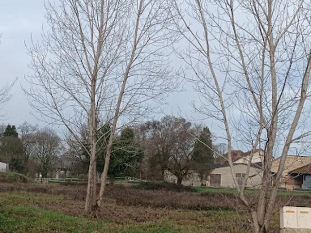 Terrain vente à Castelsarrasin, Goudourville