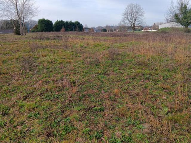 Terrain vente à Castelsarrasin, Goudourville