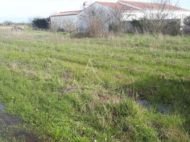 Terrain vente à Les Sables-d'Olonne, Barbâtre