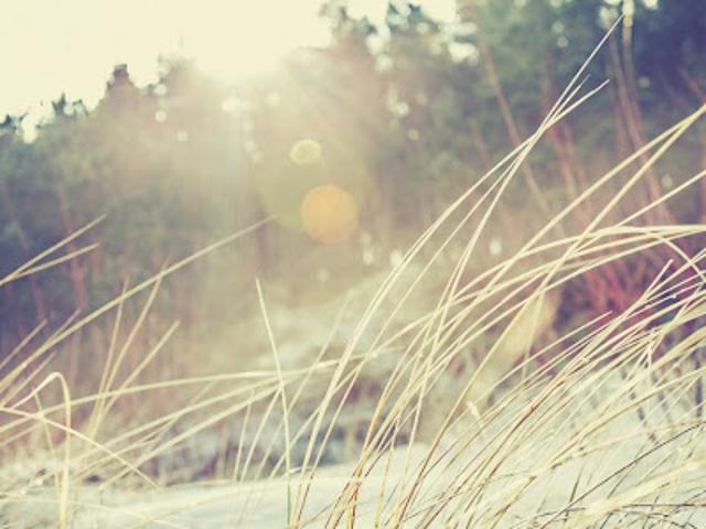 Terrain vente à France métropolitaine, Belin-béliet