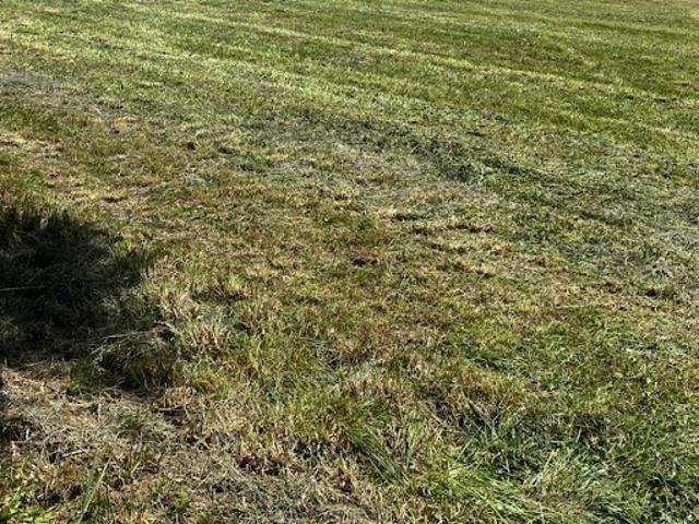 Terrain vente à France métropolitaine, Burie