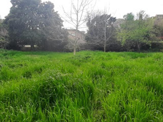 Terrain vente à Arrondissement de Draguignan, Flayosc