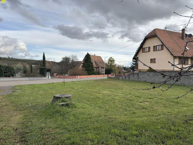 Terrain vente à Thann-Guebwiller, Bergholtzzell