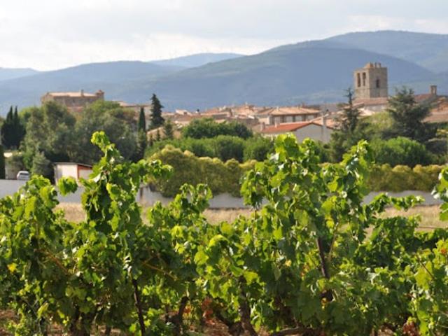 Terrain vente à Peyriac-Minervois, Aude
