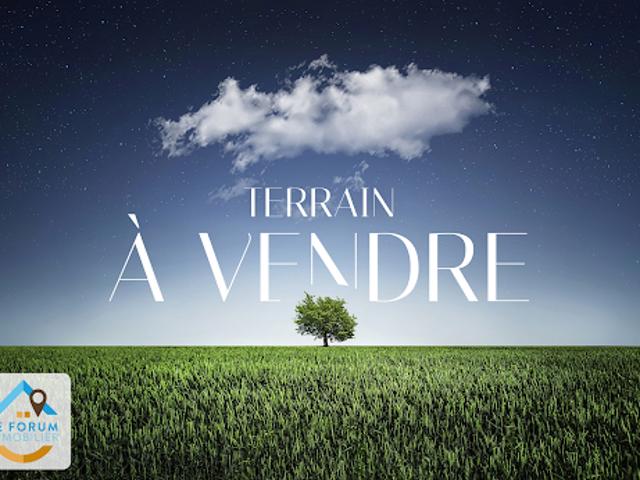 Terrain vente à La Réunion