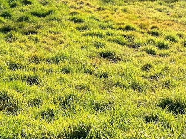 Terrain vente à France métropolitaine, Seyresse