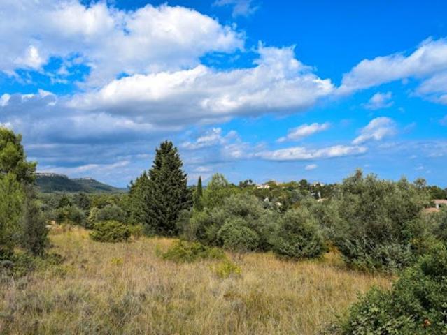 Terrain vente à Valflaunès