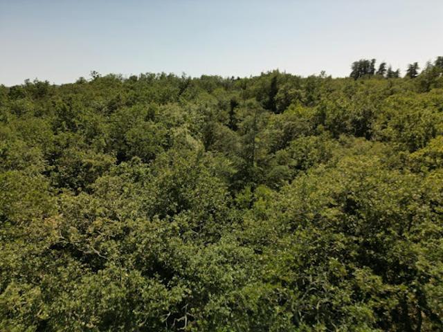 Terrain vente à Largentière, Labeaume