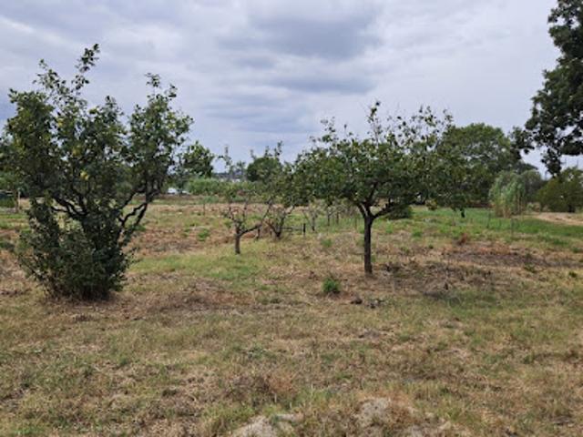 Terrain vente à Arrondissement de Draguignan, Fréjus