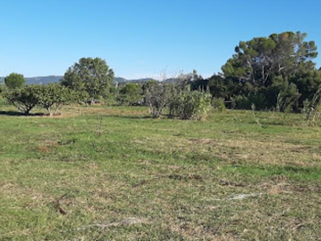 Terrain vente à Arrondissement de Draguignan, Fréjus