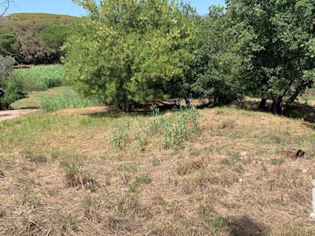 Terrain vente à Arrondissement de Draguignan, Fréjus