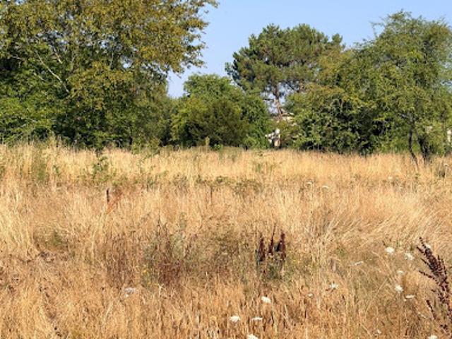 Terrain vente à Bordeaux, Le Taillan-médoc