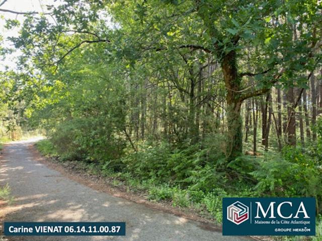 Terrain vente à France métropolitaine, Sanguinet