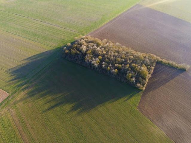 Terrain vente à Segré
