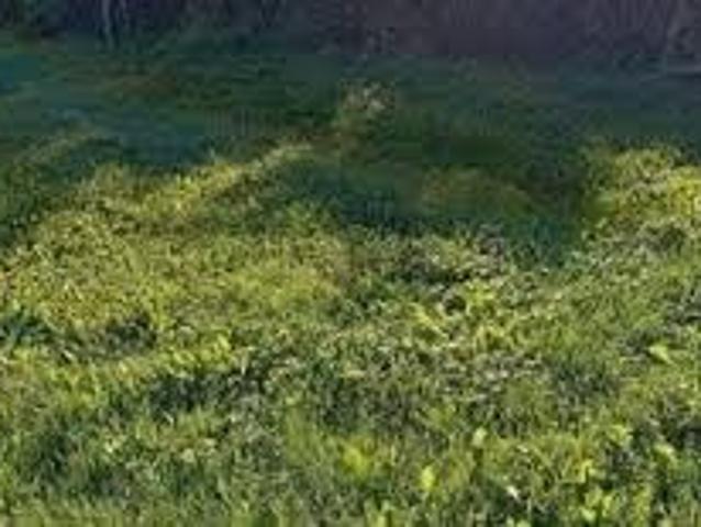 Terrain vente à France métropolitaine, Aubagne