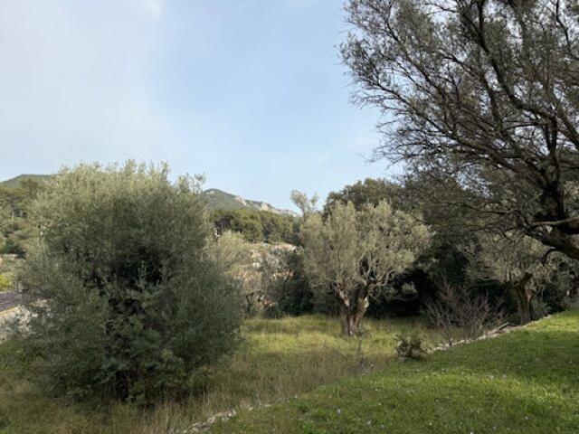 Terrain vente à Arrondissement de Toulon, Le Revest-les-eaux