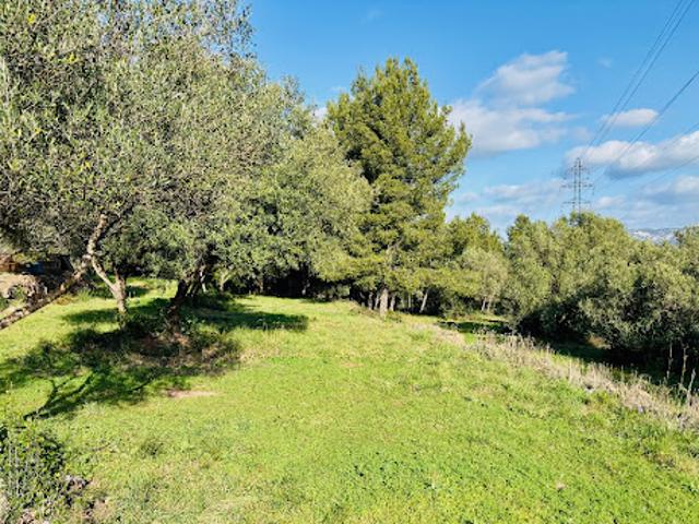 Terrain vente à Arrondissement de Toulon, Ollioules