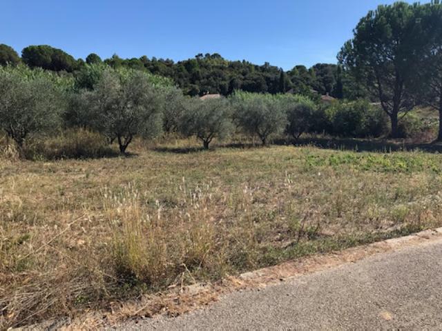 Terrain vente à Valflaunès