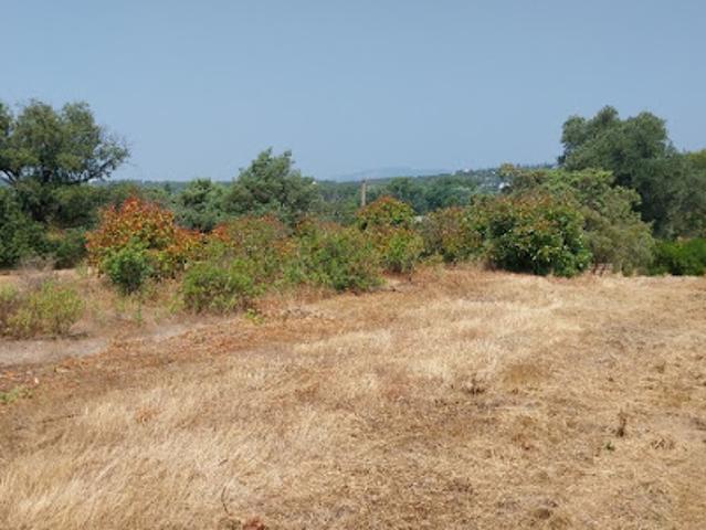 Terrain vente à Arrondissement de Draguignan, Fréjus